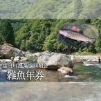 益田川雑魚年券 1枚