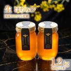 蜂蜜 ローハニー 600g×2本