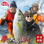 船釣り半日体験 柿崎港 マリンアクティビティ