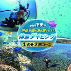 ダイビング 2回 体験 チケット 伊豆 下田