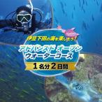 ダイビング 体験 チケット 1名