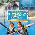 ダイビング 体験 チケット 1名