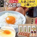 きみ恋卵 たまごかけご飯セット Mサイズ