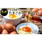 ふるさと納税 「きみ恋卵」と「よかもよか卵」のたまごかけご飯セット_LG-2901 宮崎県都城市