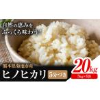 菊池産 ヒノヒカリ 5kg×4袋