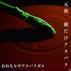 アスパラ王子が育てた自慢のアスパラ おおもりやオリジナル