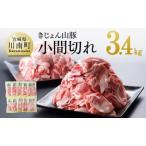 ふるさと納税 宮崎県産ブランドポーク豚肉 小間切れ3.4kg(340g×10袋)【 国産 九州産 豚肉 きじょん山豚 小分け 】 宮崎県川南町