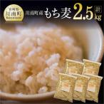 令和8年産 もち麦500g×5袋