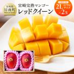 完熟マンゴー レッドクイーン 3L×2玉