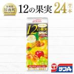 サンA1日分の12の果実24本セット