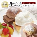 押川春月堂本店 とろける生チーズケーキセット