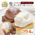 とろける生チーズケーキ プレーン チョコ