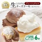 とろける生チーズケーキ プレーン チョコ