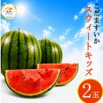 こだますいか スウィートキッズ 2玉