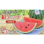 ふるさと納税 【 先行予約 】 希少品種 「 紅トップ 」 茨城県産 小玉 すいか  2玉入り Lサイズ スイカ [AG003ci] 茨城県筑西市