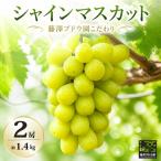 約1.4kg