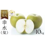 ショッピングふるさと納税 先行予約 ふるさと納税 【 JA 北つくば 】 筑西ブランド 認証品 幸水 10kg 2026年産 先行予約 [AE009ci] 茨城県筑西市