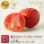 トマト 超大玉 スーパーフルーツトマト 大箱 約2.8kg
