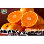有田 みかん 10kg