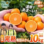 完熟 有田 みかん サイズ混合 10kg