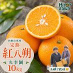 完熟 さつき 八朔 10kg