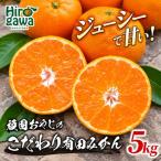 頑固オヤジの有田 みかん 5kg