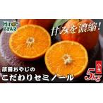 セミノールオレンジ 5kg