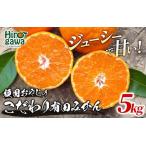 頑固オヤジの有田 みかん 5kg