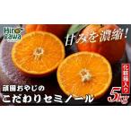 セミノール オレンジ5kg サイズ混合 ※4月中旬~5月中旬頃