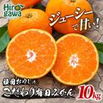 頑固オヤジの有田 みかん 10kg