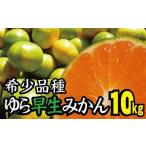 青切り みかん 10kg