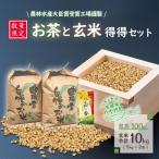 令和7年産 コシヒカリ 10kg