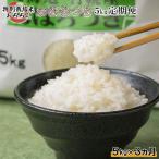 羽幌産 特別栽培米 おぼろづき5kg