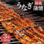 鰻蒲焼 3尾