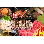 ふるさと納税 純国産馬刺し＆馬肉料理福袋 計1kg 熊本肥育 2年連続農林水産大臣賞受賞 送料無料 上赤身馬刺し100g たてがみ50g 馬とろ150g 馬ソ.. 熊本県長洲町