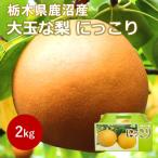 大玉な梨 にっこり 約2kg