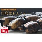 fu.... налог [ год внутри рассылка ] renkon ( грязь имеется ) 3kg / renkon [IAV001] Saga префектура белый камень блок 