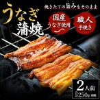 かくれうなぎ誕生の店 川八うなぎ蒲焼2人前