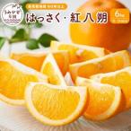 自然栽培歴 60年以上 はっさく 紅八朔 6kg