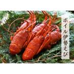 ボイル伊勢えび
