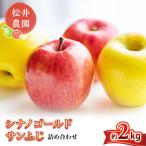 りんご サンふじ シナノゴールド 詰め合わせ 約2kg