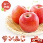 りんご 信州小諸 松井農園のサンふじ 約2kg