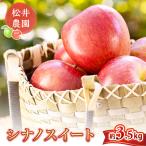 りんご 松井農園のサンふじ 約3.5kg