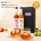 濃いめのお酒 飲み比べ 500ml×2本セット