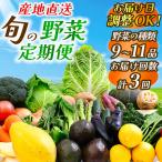 旬の野菜セット 3ヶ月の定期便