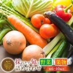 FY02 大師の里のとれたて旬の野菜と果物の詰め合わせ