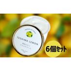 ふるさと納税 豊島で育ったレモンのアイスクリーム 6個 スイーツ お菓子  香川県土庄町