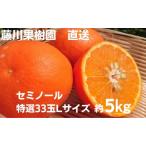 セミノール 特選 Lサイズ 柑橘