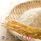 令和6年産環境こだわり近江米コシヒカリ10kg