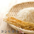 令和6年産環境こだわり近江米コシヒカリ5kg